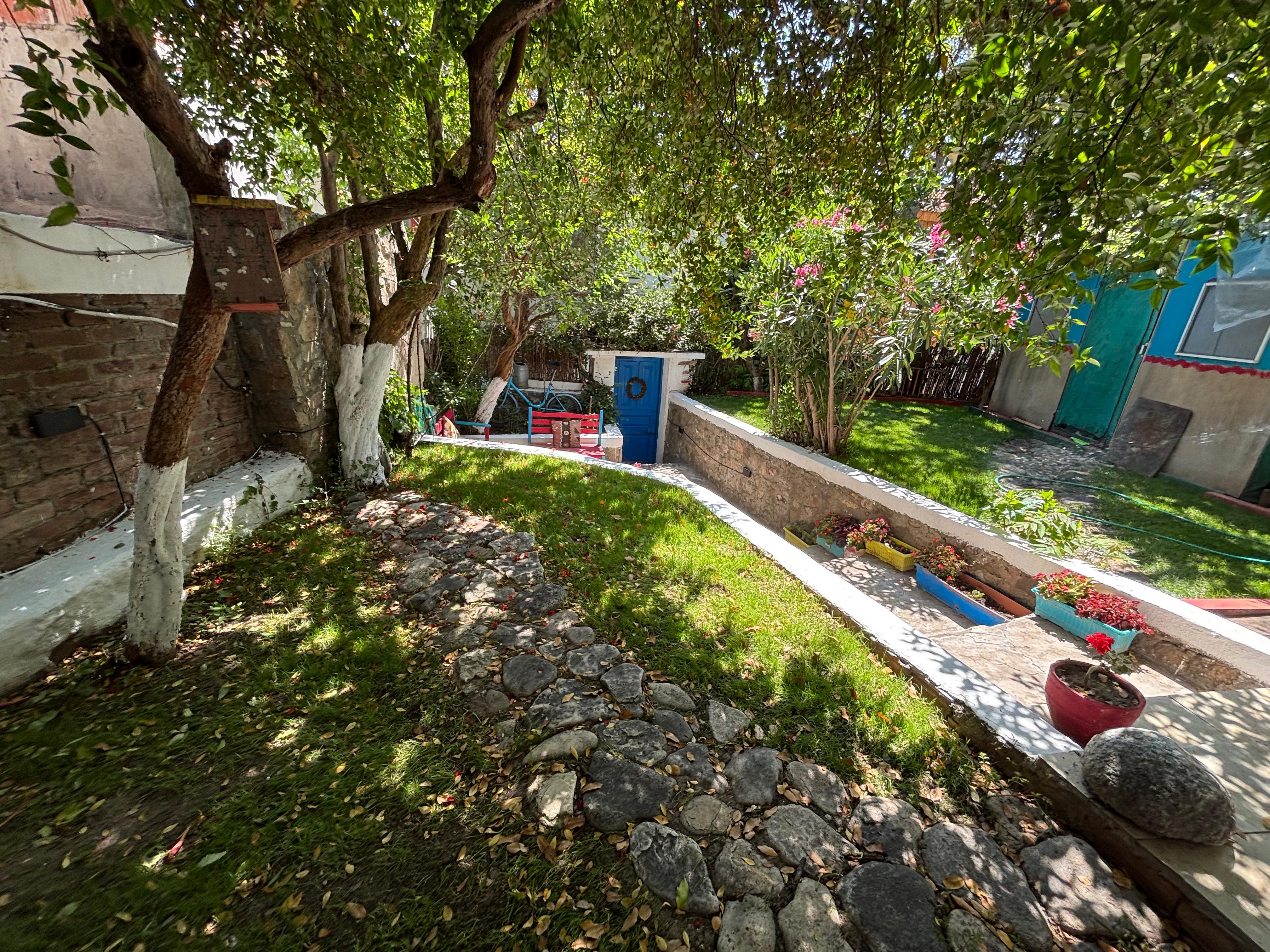 Dafne Pansiyon fotoğraf 1
